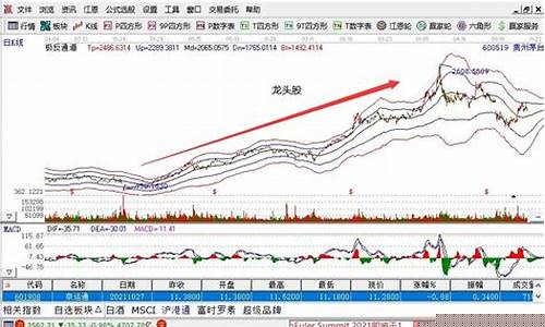 怎样找到龙头股票(股票中怎么找龙头股)_https://www.shshucaipeisong.com_创业板_第1张