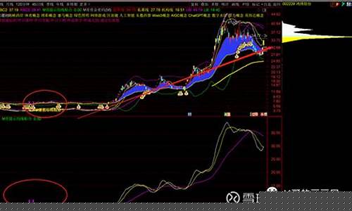 均线视频讲解视频(均线入门与实战精解)_https://www.shshucaipeisong.com_科创板_第1张