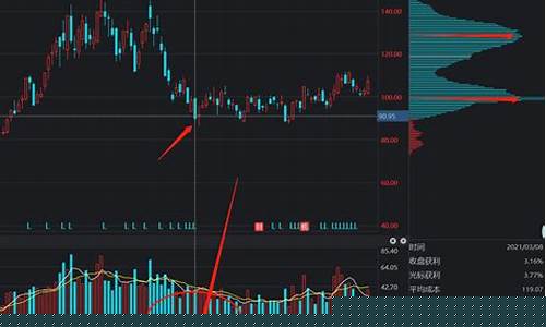 股票入门基础知识视频(股票入门基础知识视频讲解)_https://www.shshucaipeisong.com_北交所_第1张