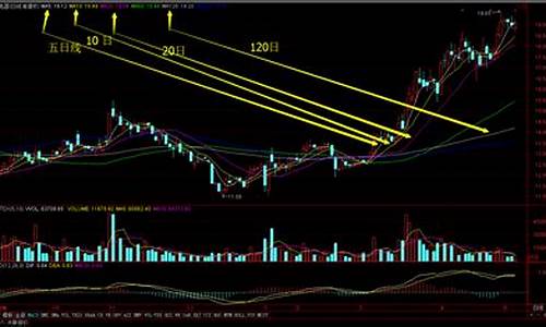 股票怎么买新手入门 完整(股票要怎样买)_https://www.shshucaipeisong.com_科创板_第1张