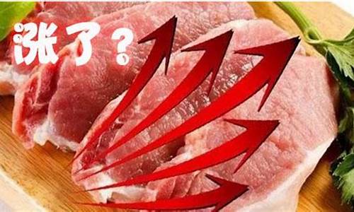 今日猪肉期货行情(猪肉期货今天行情走势)_https://www.shshucaipeisong.com_北交所_第1张