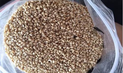 苏丹芝麻期货行情(苏丹芝麻价格最新行情天下粮仓)_https://www.shshucaipeisong.com_创业板_第1张