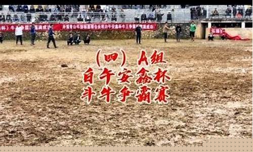 斗午财经直播(斗牛财经频道直播)_https://www.shshucaipeisong.com_深交所_第1张