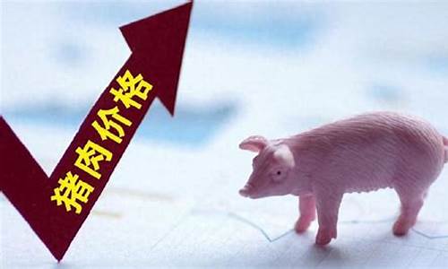 今年猪还会涨价吗(今日猪价)_https://www.shshucaipeisong.com_深交所_第1张