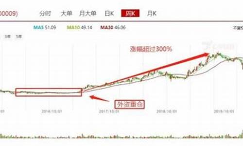 什么是白马蓝筹股票(白马蓝筹股是指哪些基金)_https://www.shshucaipeisong.com_深交所_第1张