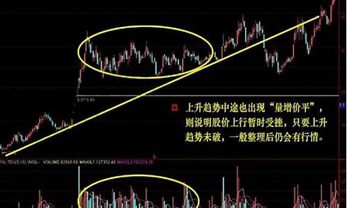 如何查看成交量(如何查看成交量的多少)_https://www.shshucaipeisong.com_北交所_第1张
