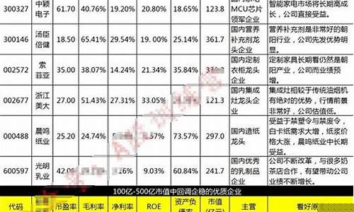 可终身持有的10大股票小盘股(值得终身持有的股票)_https://www.shshucaipeisong.com_科创板_第1张