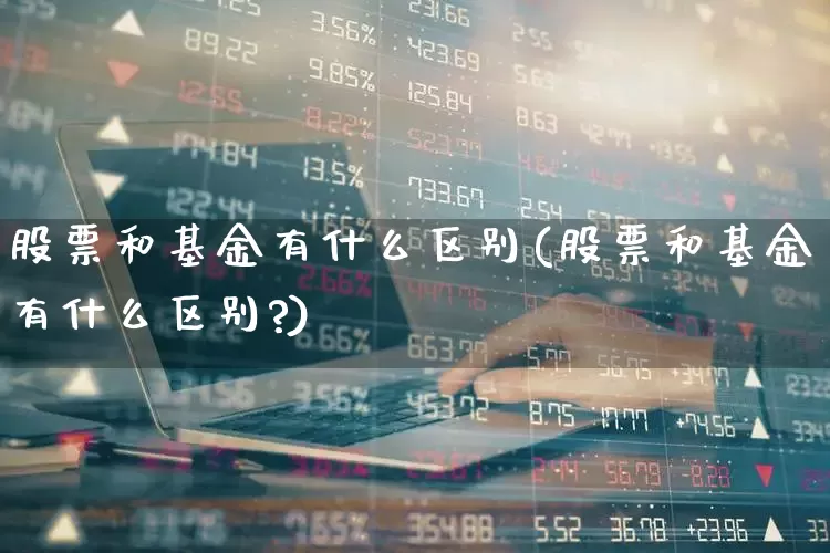 股票和基金有什么区别(股票和基金有什么区别?)_https://www.shshucaipeisong.com_北交所_第1张
