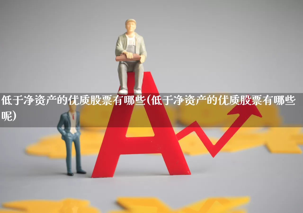低于净资产的优质股票有哪些(低于净资产的优质股票有哪些呢)_https://www.shshucaipeisong.com_上交所_第1张