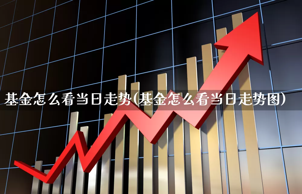 基金怎么看当日走势(基金怎么看当日走势图)_https://www.shshucaipeisong.com_科创板_第1张