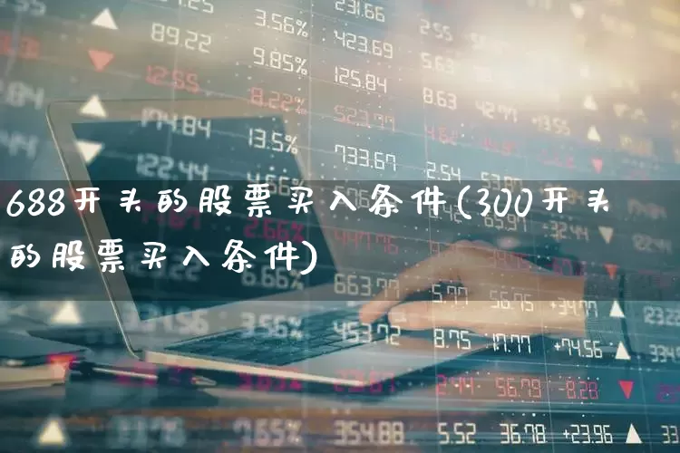 688开头的股票买入条件(300开头的股票买入条件)_https://www.shshucaipeisong.com_深交所_第1张