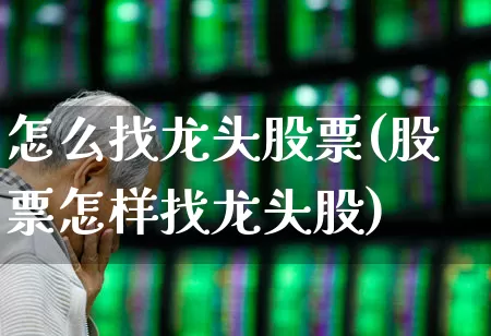 怎么找龙头股票(股票怎样找龙头股)_https://www.shshucaipeisong.com_科创板_第1张