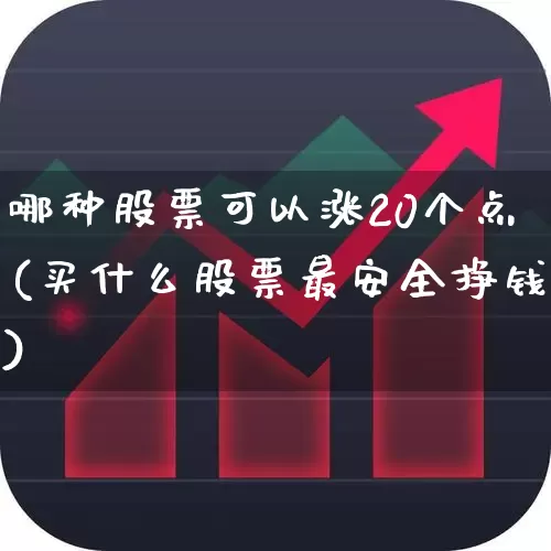 哪种股票可以涨20个点(买什么股票最安全挣钱)_https://www.shshucaipeisong.com_上交所_第1张