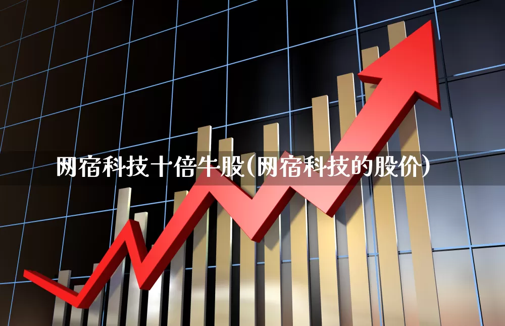 网宿科技十倍牛股(网宿科技的股价)_https://www.shshucaipeisong.com_深交所_第1张