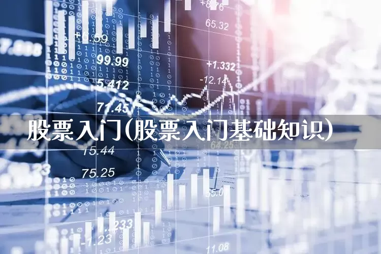 股票入门(股票入门基础知识)_https://www.shshucaipeisong.com_北交所_第1张