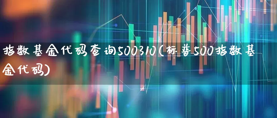 指数基金代码查询500310(标普500指数基金代码)_https://www.shshucaipeisong.com_上交所_第1张
