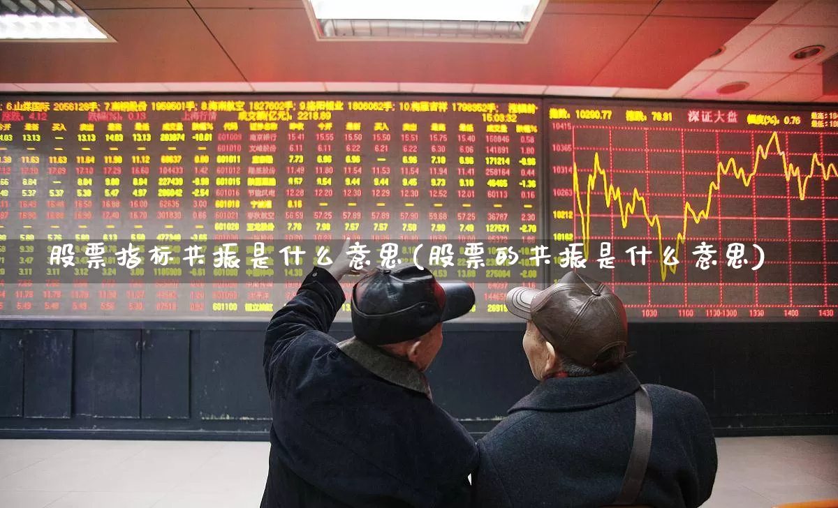 股票指标共振是什么意思(股票的共振是什么意思)_https://www.shshucaipeisong.com_科创板_第1张