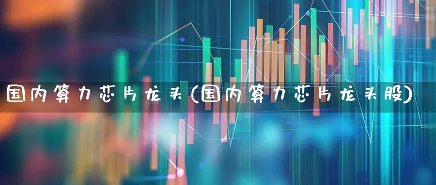 国内算力芯片龙头(国内算力芯片龙头股)_https://www.shshucaipeisong.com_科创板_第1张