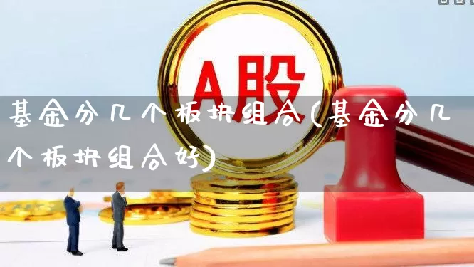 基金分几个板块组合(基金分几个板块组合好)_https://www.shshucaipeisong.com_创业板_第1张