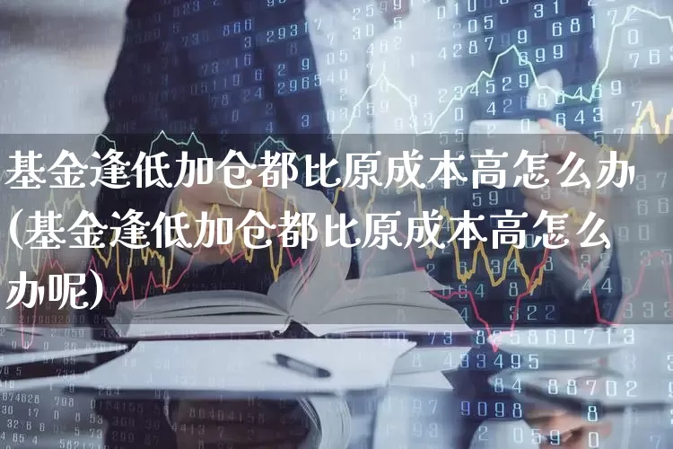 基金逢低加仓都比原成本高怎么办(基金逢低加仓都比原成本高怎么办呢)_https://www.shshucaipeisong.com_上交所_第1张