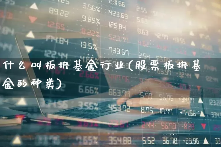 什么叫板块基金行业(股票板块基金的种类)_https://www.shshucaipeisong.com_深交所_第1张