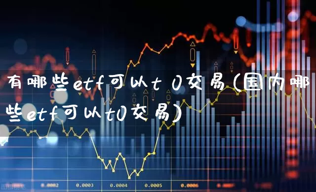 有哪些etf可以t 0交易(国内哪些etf可以t0交易)_https://www.shshucaipeisong.com_科创板_第1张