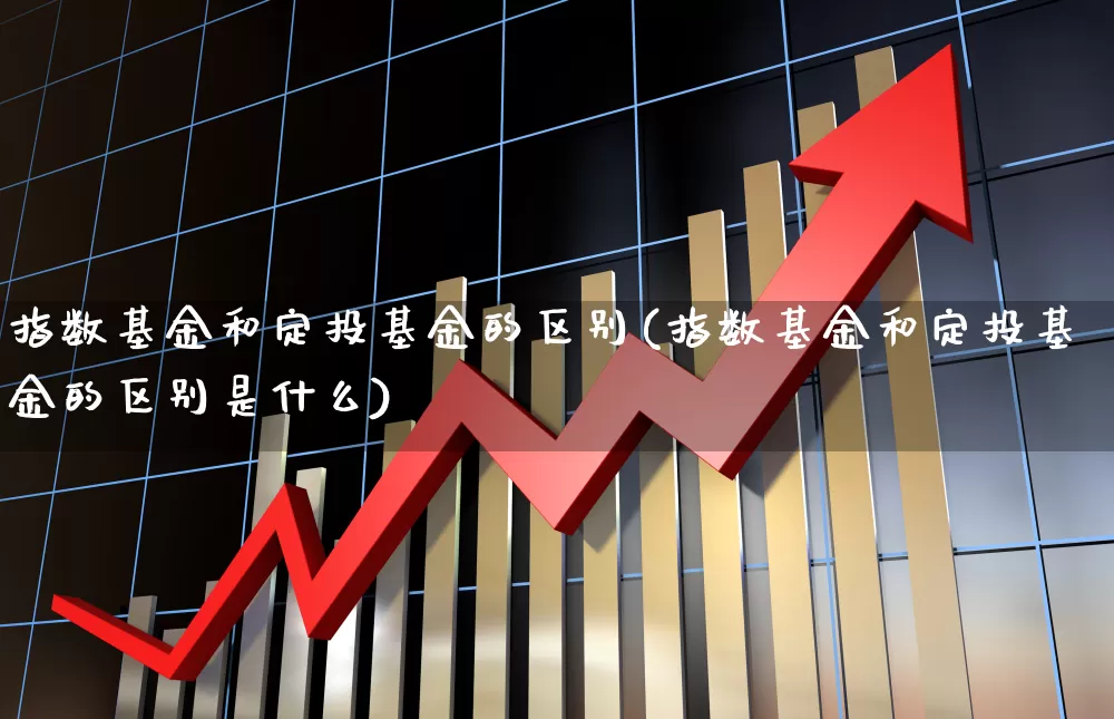 指数基金和定投基金的区别(指数基金和定投基金的区别是什么)_https://www.shshucaipeisong.com_创业板_第1张