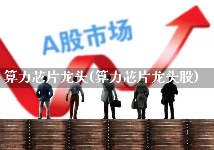 算力芯片龙头(算力芯片龙头股)_https://www.shshucaipeisong.com_创业板_第1张