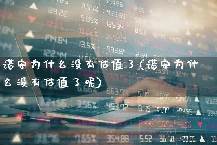 诺安为什么没有估值了(诺安为什么没有估值了呢)_https://www.shshucaipeisong.com_创业板_第1张