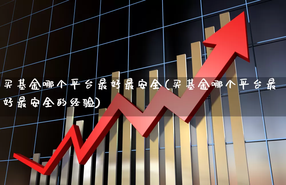买基金哪个平台最好最安全(买基金哪个平台最好最安全的经验)_https://www.shshucaipeisong.com_深交所_第1张