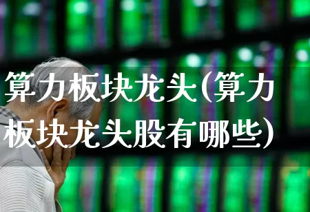 算力板块龙头(算力板块龙头股有哪些)_https://www.shshucaipeisong.com_北交所_第1张