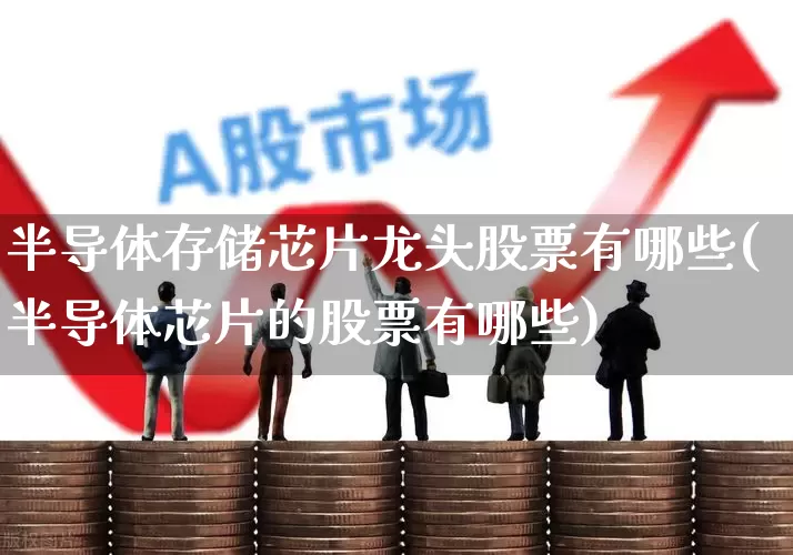 半导体存储芯片龙头股票有哪些(半导体芯片的股票有哪些)_https://www.shshucaipeisong.com_创业板_第1张