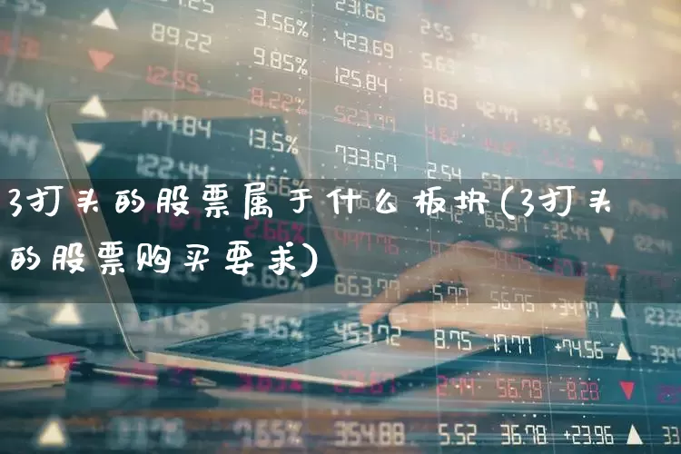 3打头的股票属于什么板块(3打头的股票购买要求)_https://www.shshucaipeisong.com_上交所_第1张