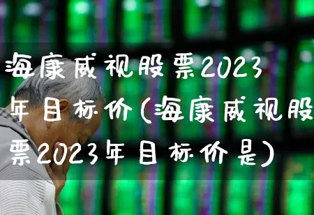 海康威视股票2023年目标价(海康威视股票2023年目标价是)_https://www.shshucaipeisong.com_科创板_第1张