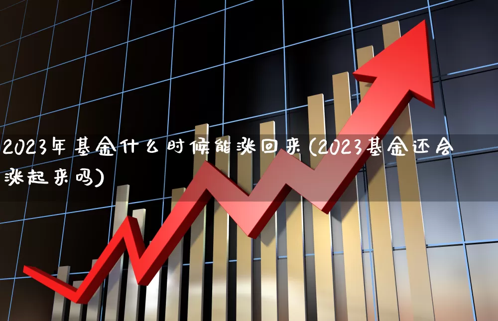 2023年基金什么时候能涨回来(2023基金还会涨起来吗)_https://www.shshucaipeisong.com_北交所_第1张