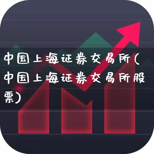 中国上海证券交易所(中国上海证券交易所股票)_https://www.shshucaipeisong.com_深交所_第1张