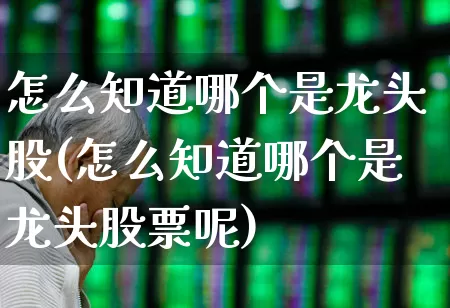 怎么知道哪个是龙头股(怎么知道哪个是龙头股票呢)_https://www.shshucaipeisong.com_上交所_第1张