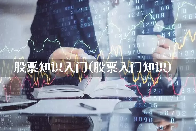 股票知识入门(股票入门知识)_https://www.shshucaipeisong.com_北交所_第1张