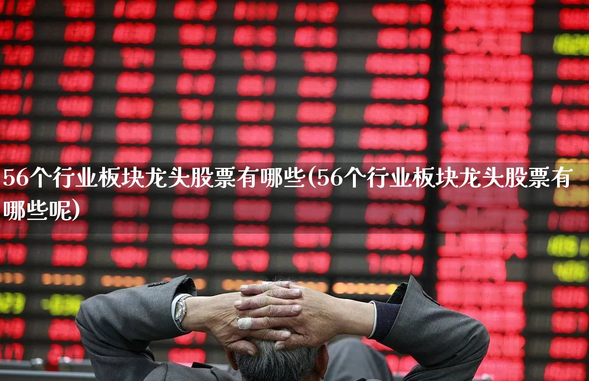 56个行业板块龙头股票有哪些(56个行业板块龙头股票有哪些呢)_https://www.shshucaipeisong.com_上交所_第1张