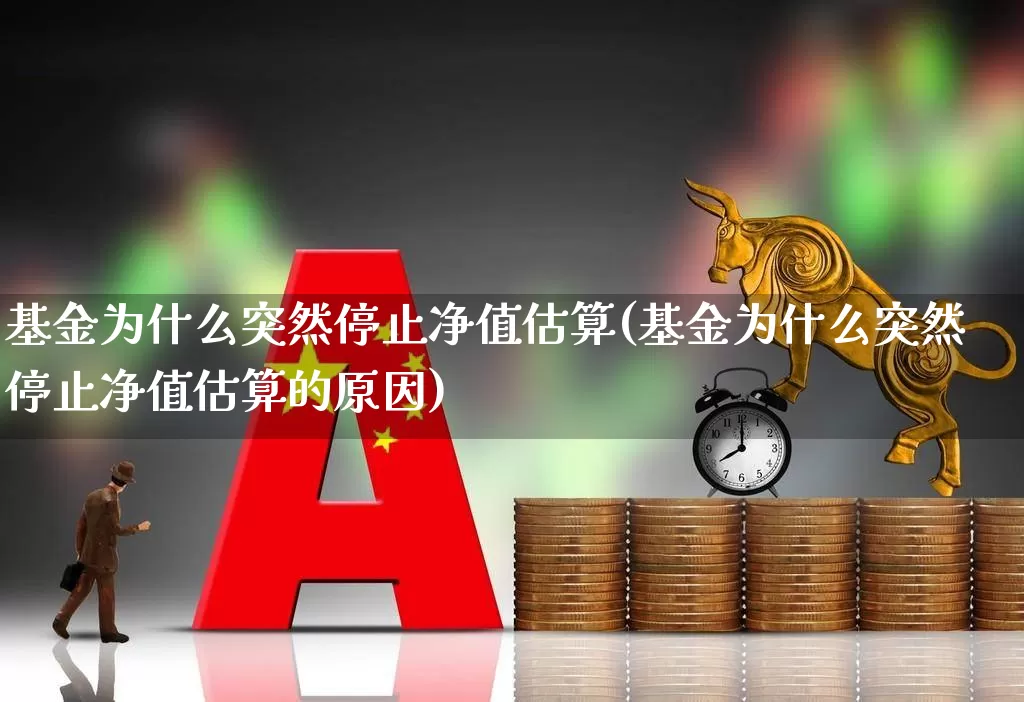 基金为什么突然停止净值估算(基金为什么突然停止净值估算的原因)_https://www.shshucaipeisong.com_创业板_第1张