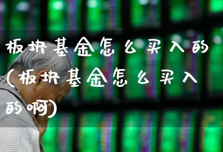 板块基金怎么买入的(板块基金怎么买入的啊)_https://www.shshucaipeisong.com_上交所_第1张