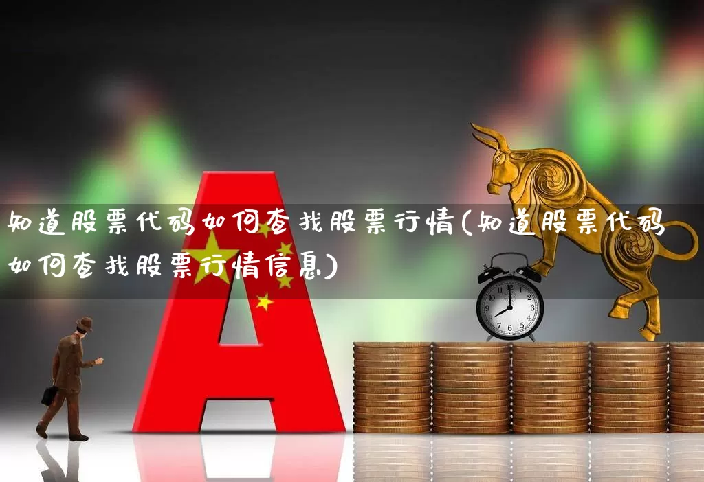 知道股票代码如何查找股票行情(知道股票代码如何查找股票行情信息)_https://www.shshucaipeisong.com_北交所_第1张