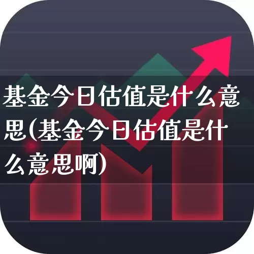 基金今日估值是什么意思(基金今日估值是什么意思啊)_https://www.shshucaipeisong.com_科创板_第1张