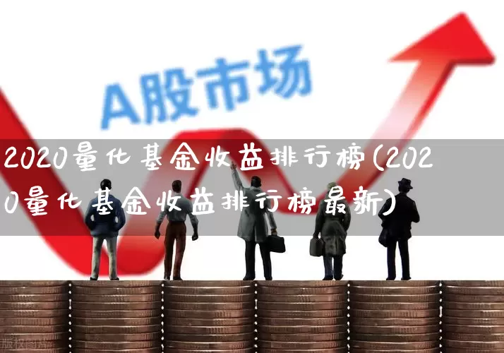 2020量化基金收益排行榜(2020量化基金收益排行榜最新)_https://www.shshucaipeisong.com_创业板_第1张