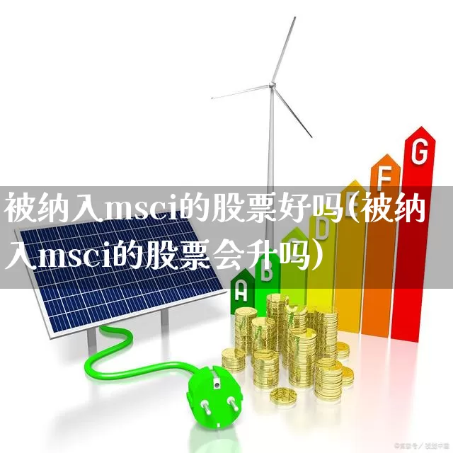 被纳入msci的股票好吗(被纳入msci的股票会升吗)_https://www.shshucaipeisong.com_上交所_第1张