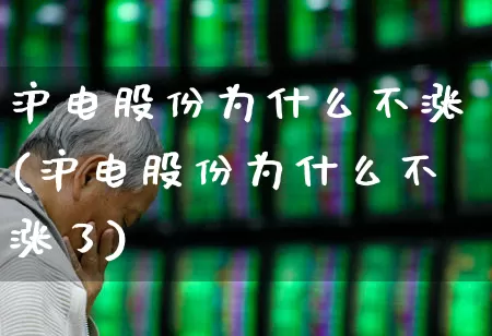 沪电股份为什么不涨(沪电股份为什么不涨了)_https://www.shshucaipeisong.com_上交所_第1张