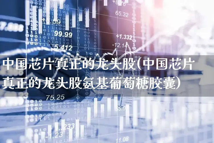 中国芯片真正的龙头股(中国芯片真正的龙头股氨基葡萄糖胶囊)_https://www.shshucaipeisong.com_上交所_第1张