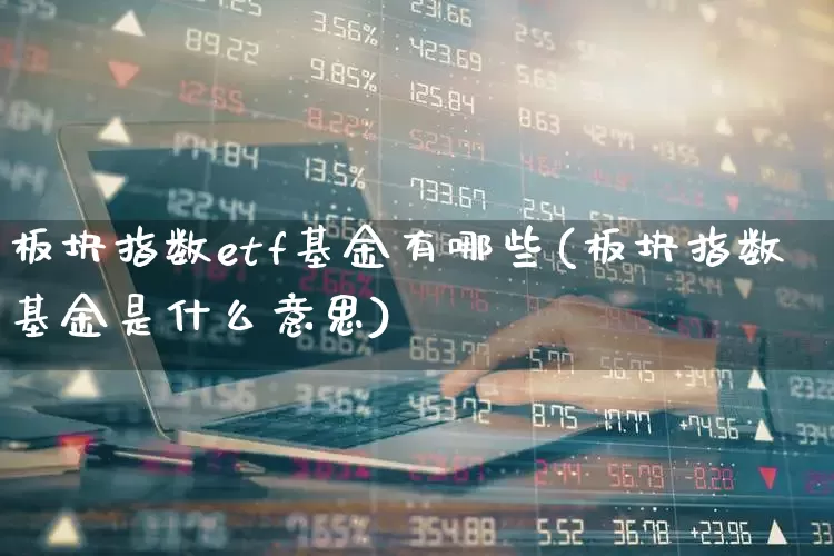 板块指数etf基金有哪些(板块指数基金是什么意思)_https://www.shshucaipeisong.com_北交所_第1张
