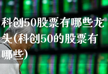 科创50股票有哪些龙头(科创50的股票有哪些)_https://www.shshucaipeisong.com_深交所_第1张