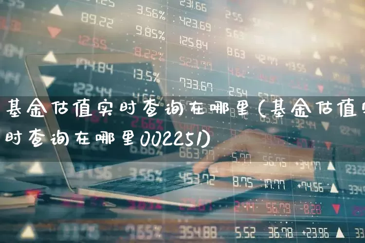 基金估值实时查询在哪里(基金估值实时查询在哪里002251)_https://www.shshucaipeisong.com_科创板_第1张